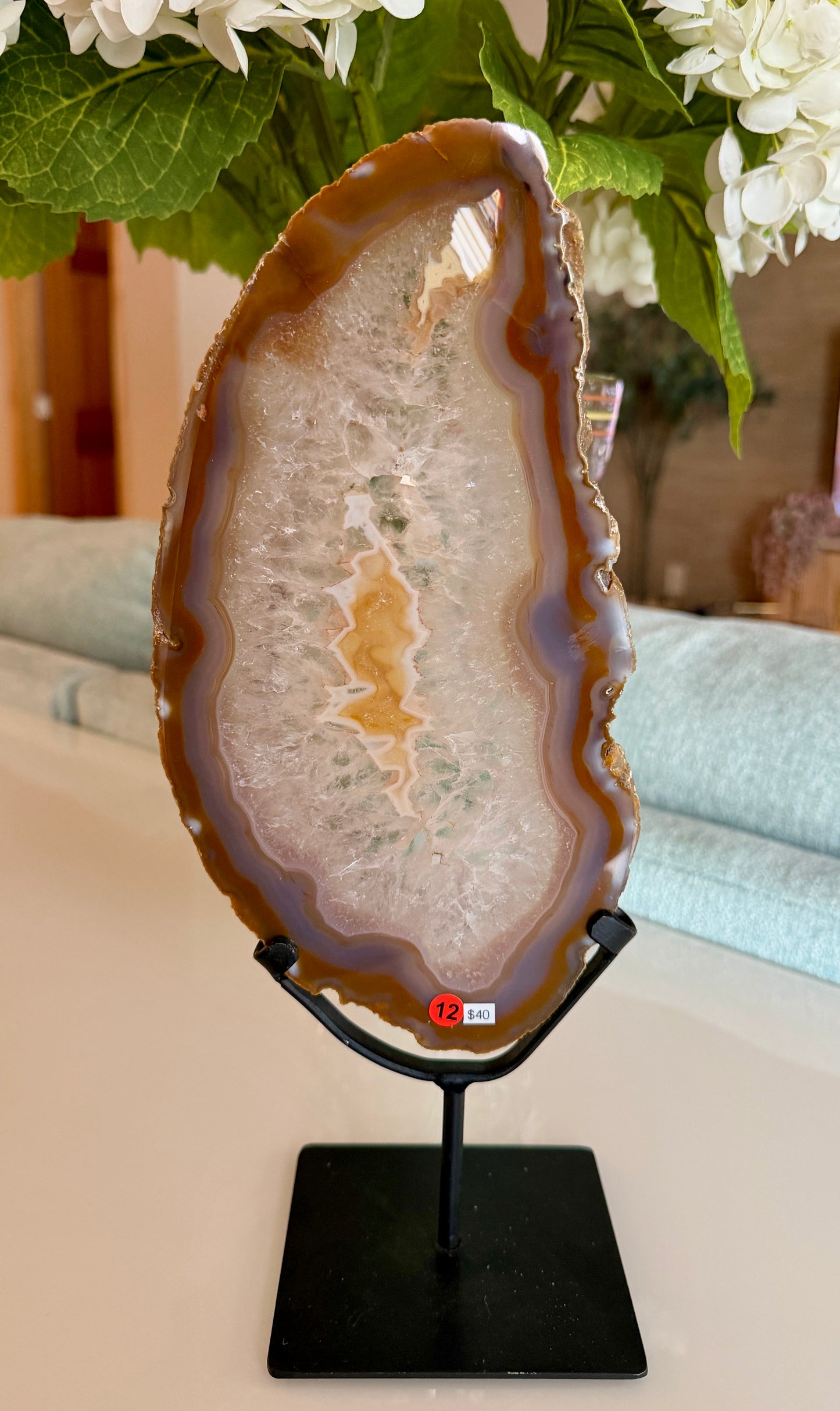 Gorgeous Agate Slice from Brazil | Opt 12 (12" tall)