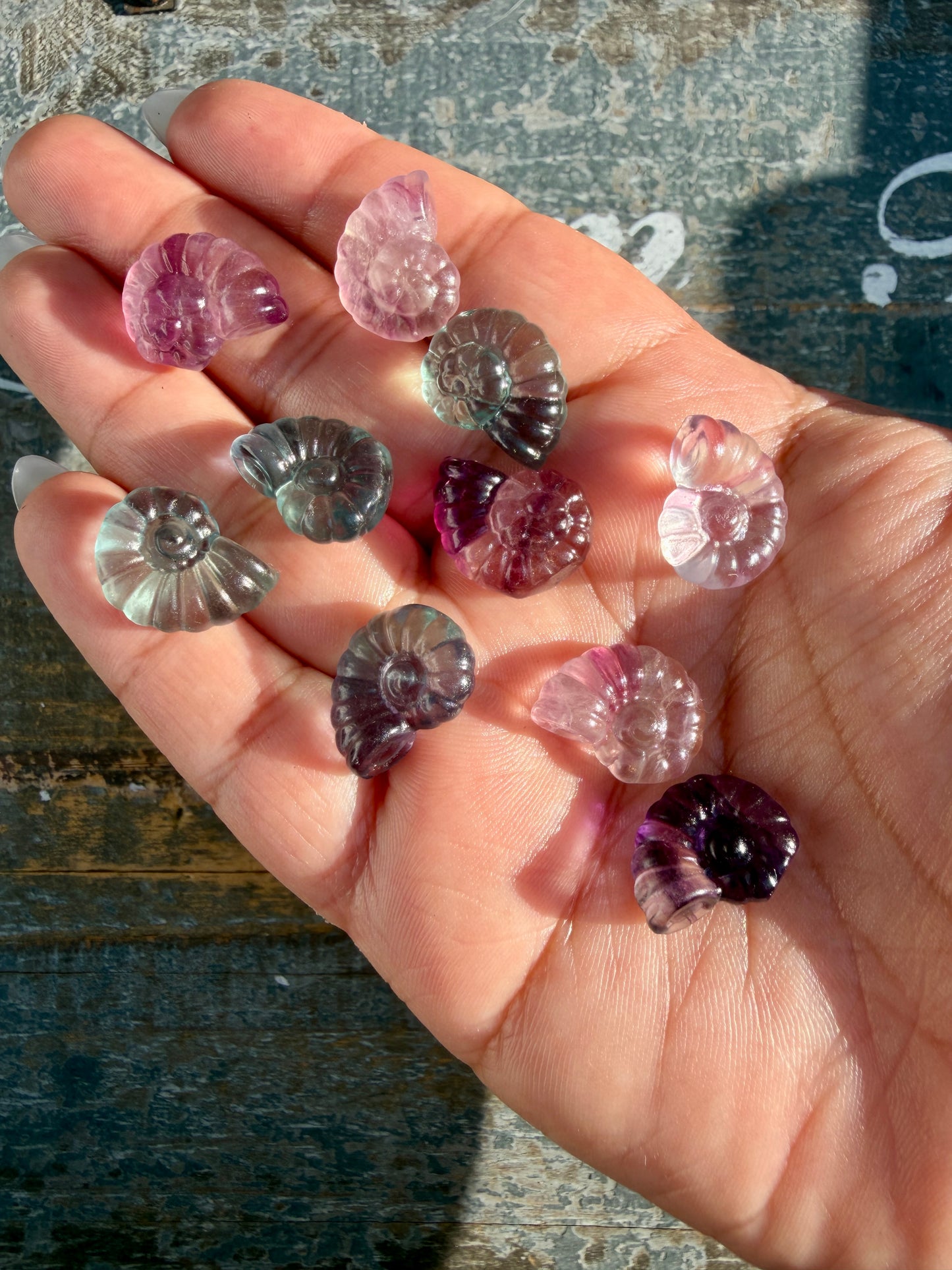 One (1) Mini Rainbow Fluorite Shell | Intuitively Chosen