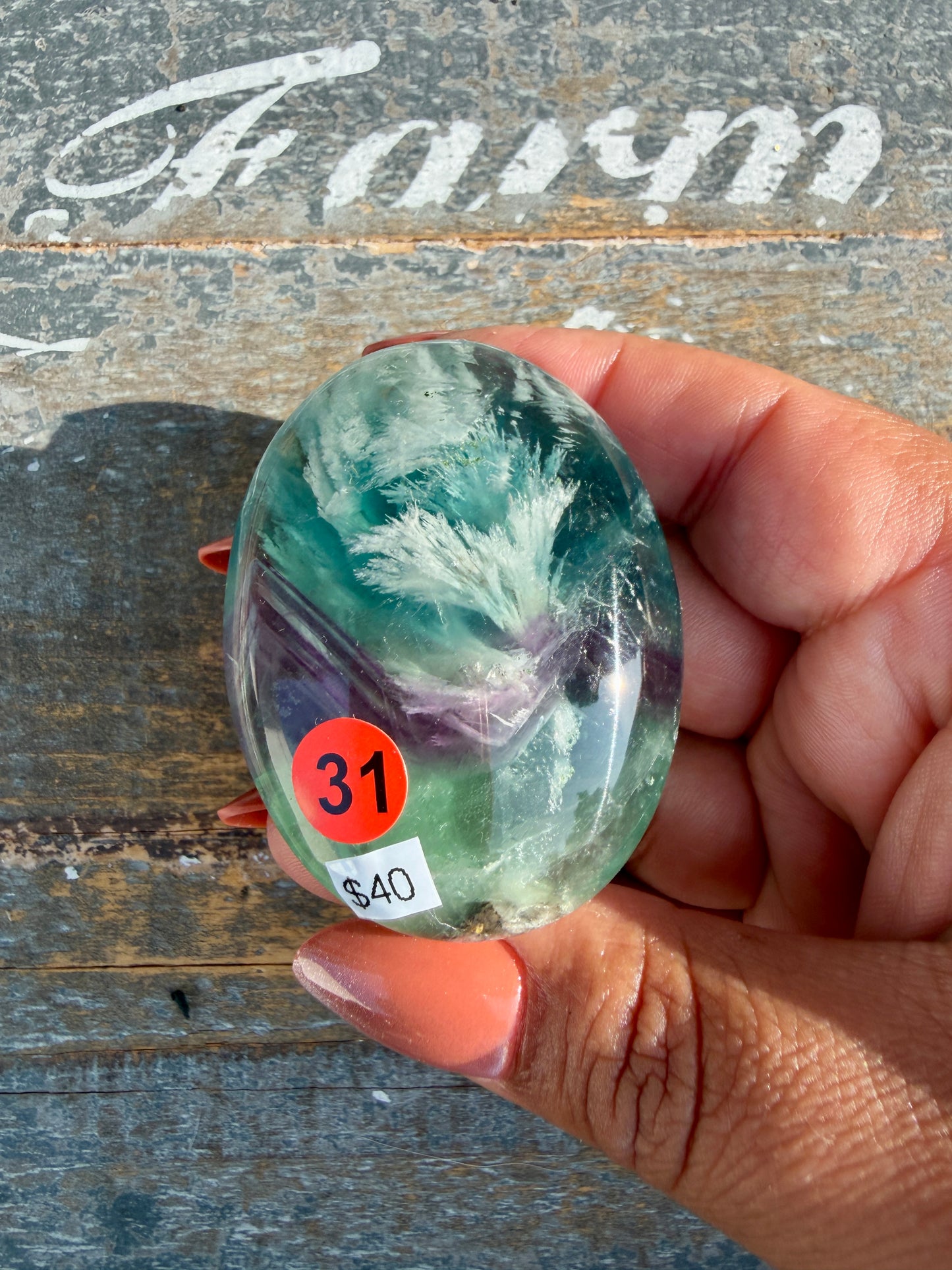 Gorgeous Feathered Fluorite Palm Stone | Opt 31