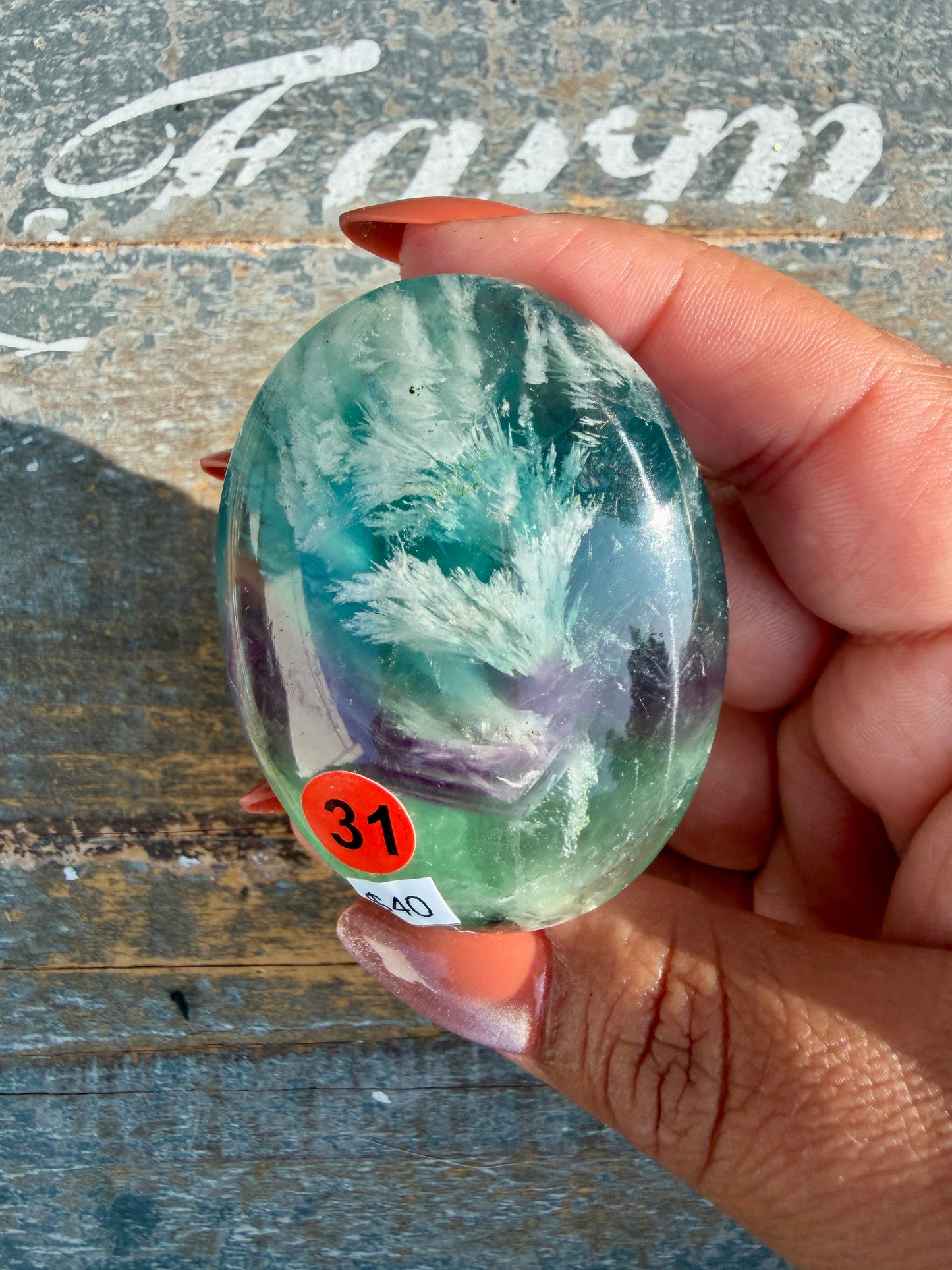 Gorgeous Feathered Fluorite Palm Stone | Opt 31