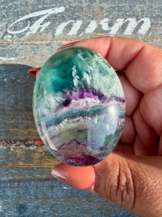 Gorgeous Feathered Fluorite Palm Stone | Opt 32