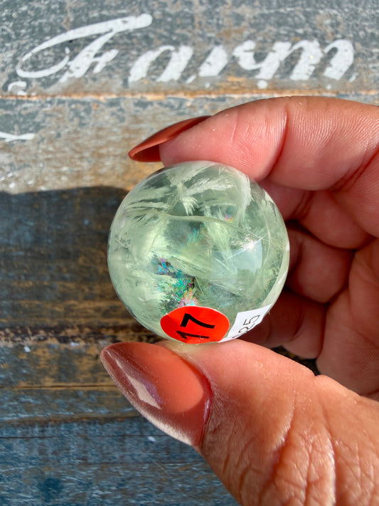 Gorgeous Feathered Fluorite Sphere | Opt 17