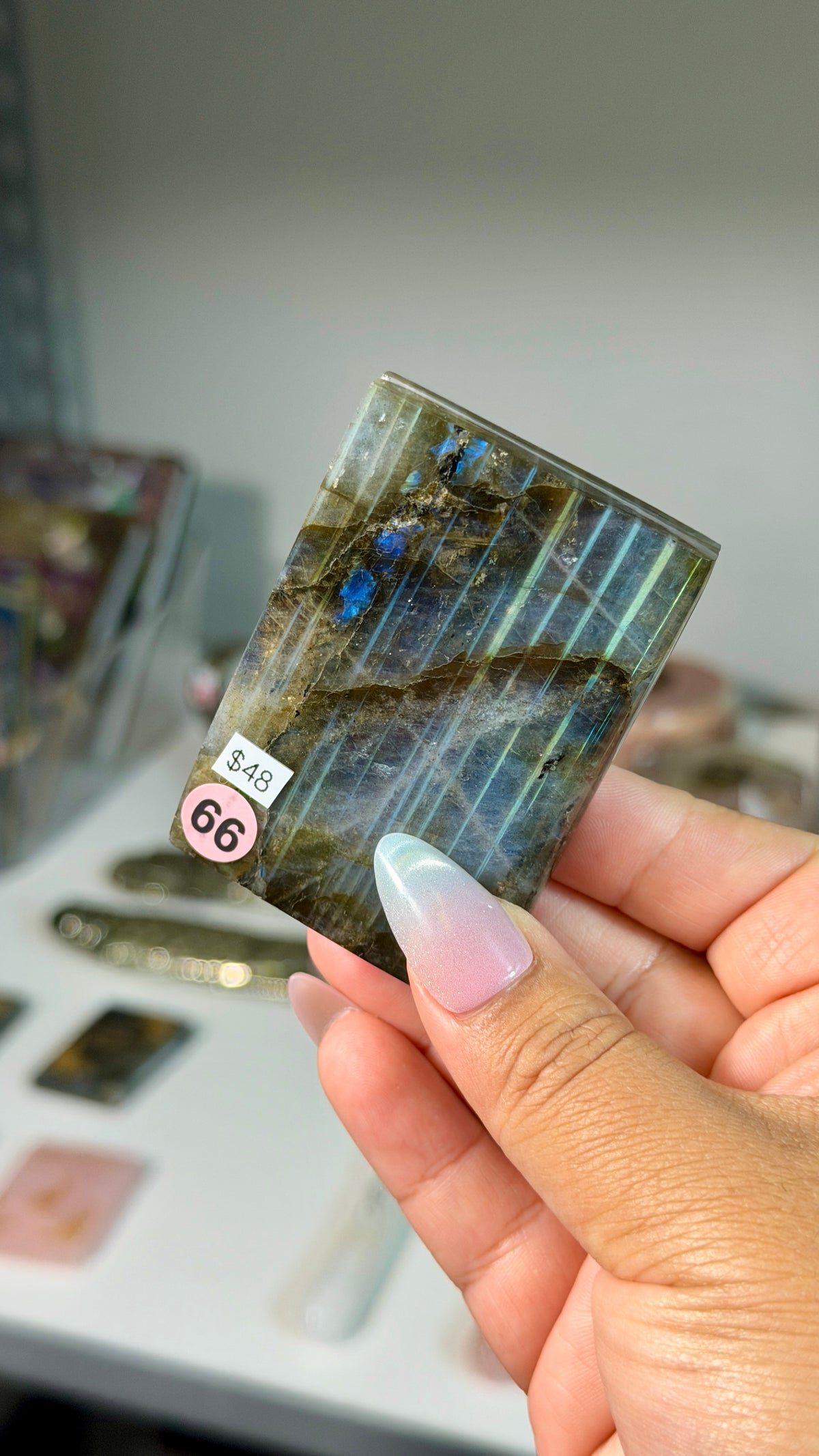 Labradorite "acotar" mini book | Opt 66