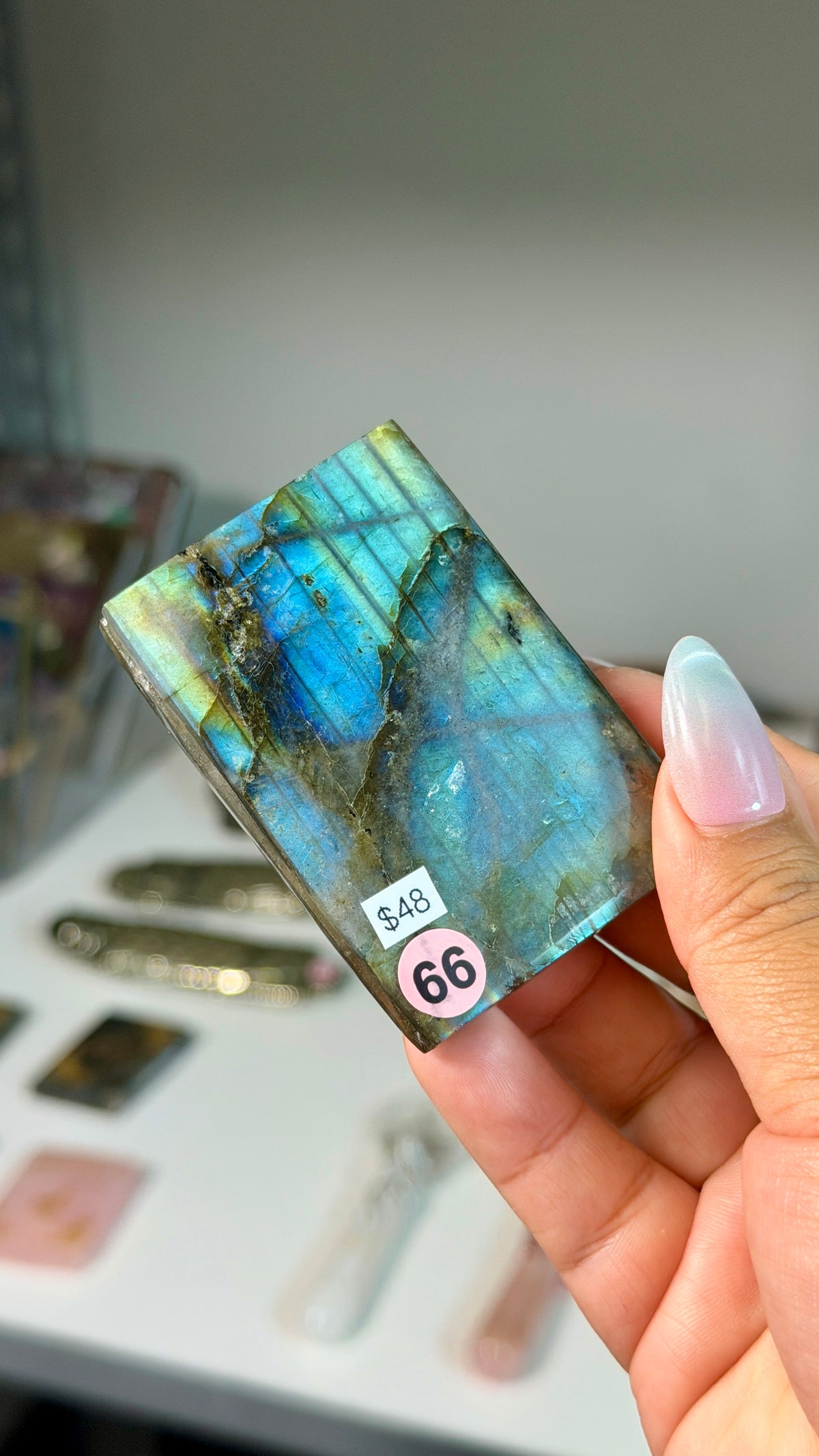 Labradorite "acotar" mini book | Opt 66