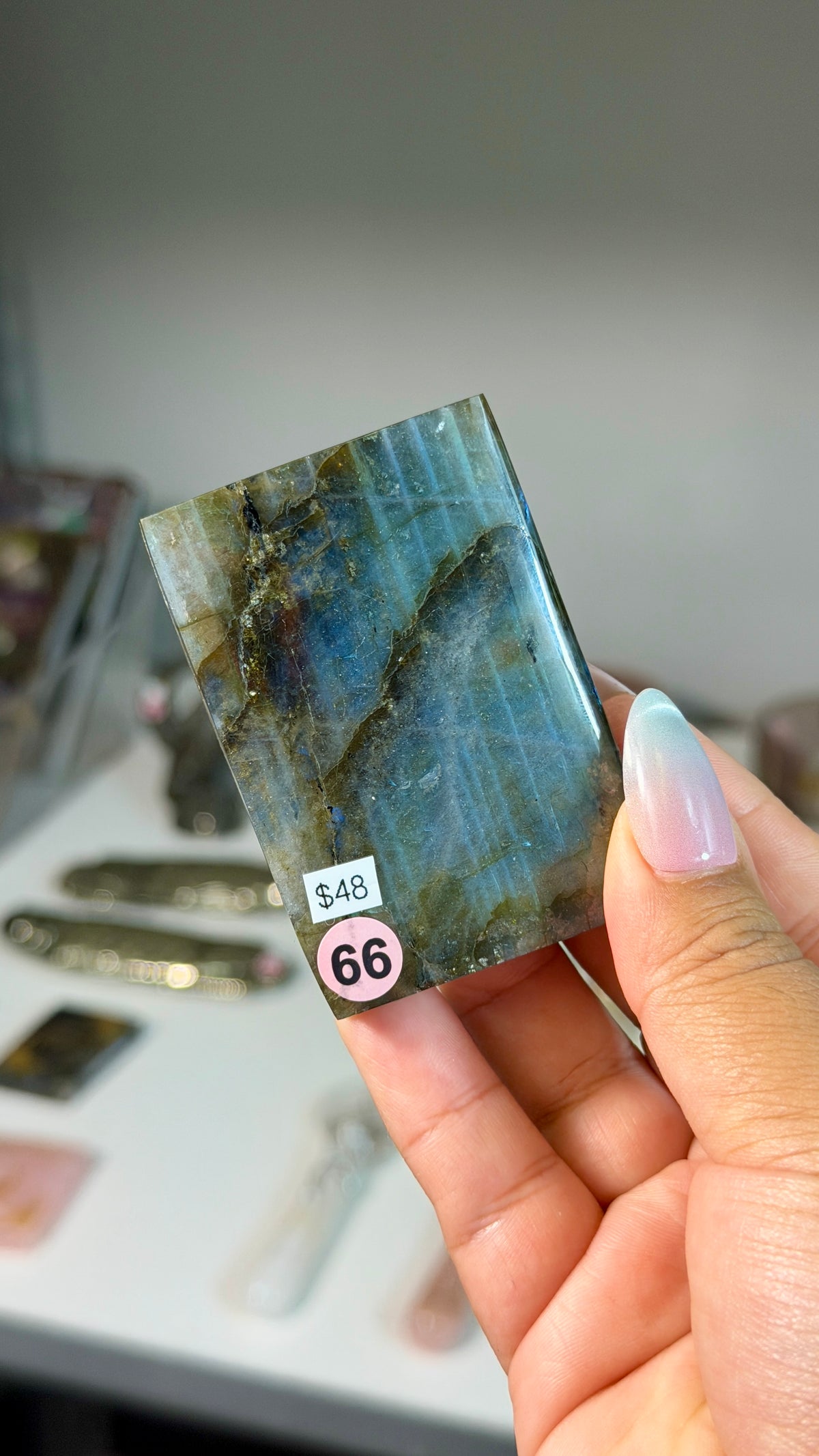 Labradorite "acotar" mini book | Opt 66