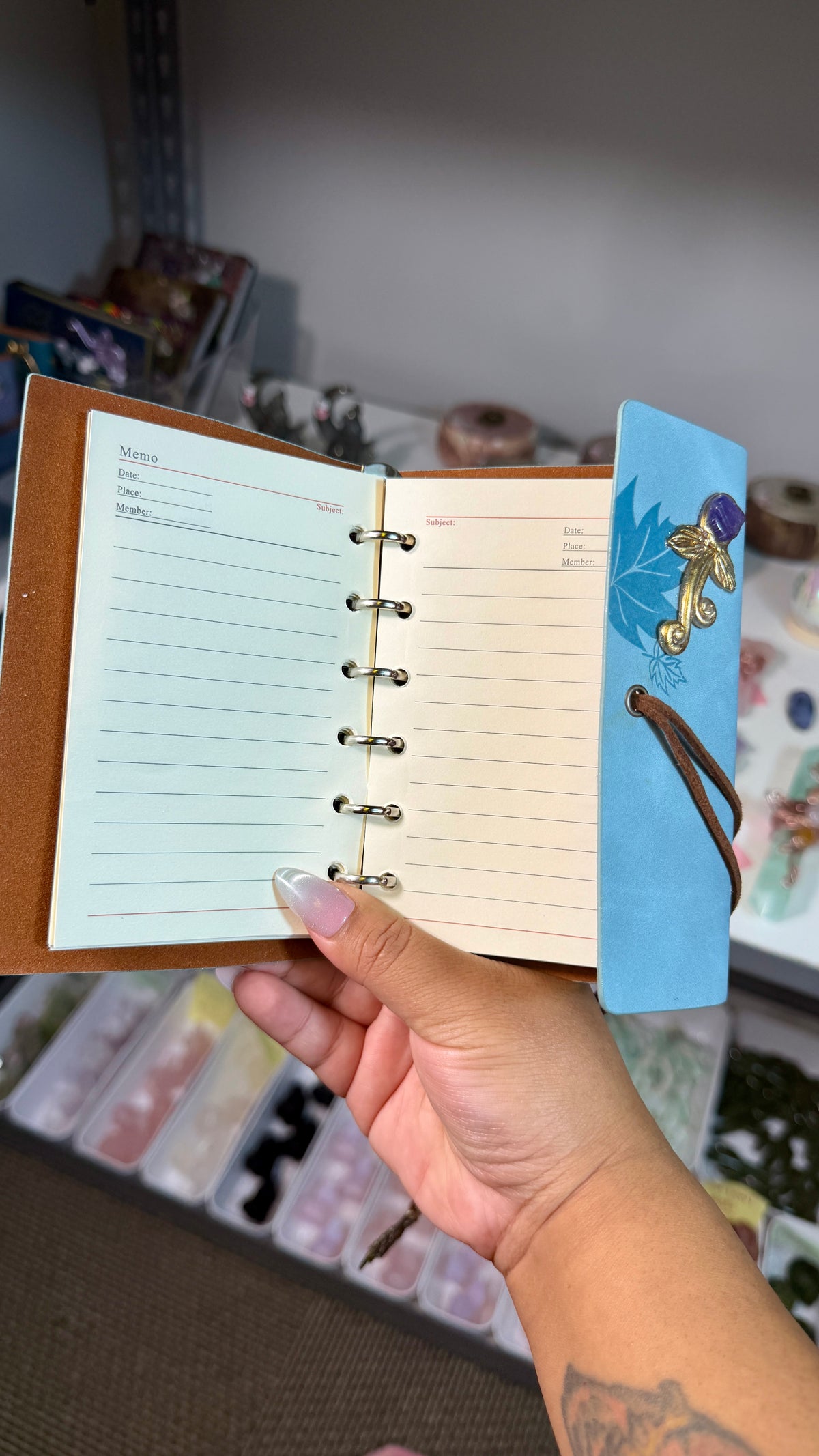 Enchanted Crystal Embellished Journal | Renaissance Faire Inspired Notebook | Light Blue Suede