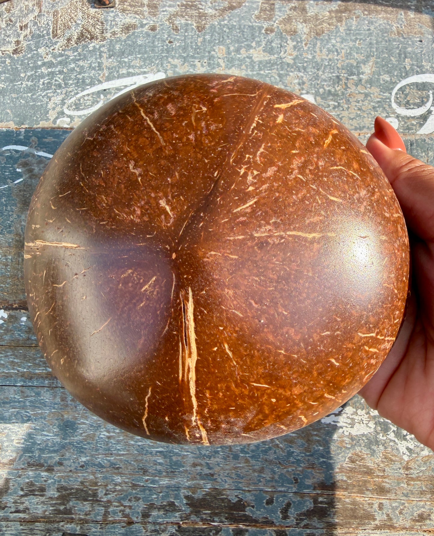 Gorgeous Beach Mosaic Coconut Bowl with Shell Inlay | 6"