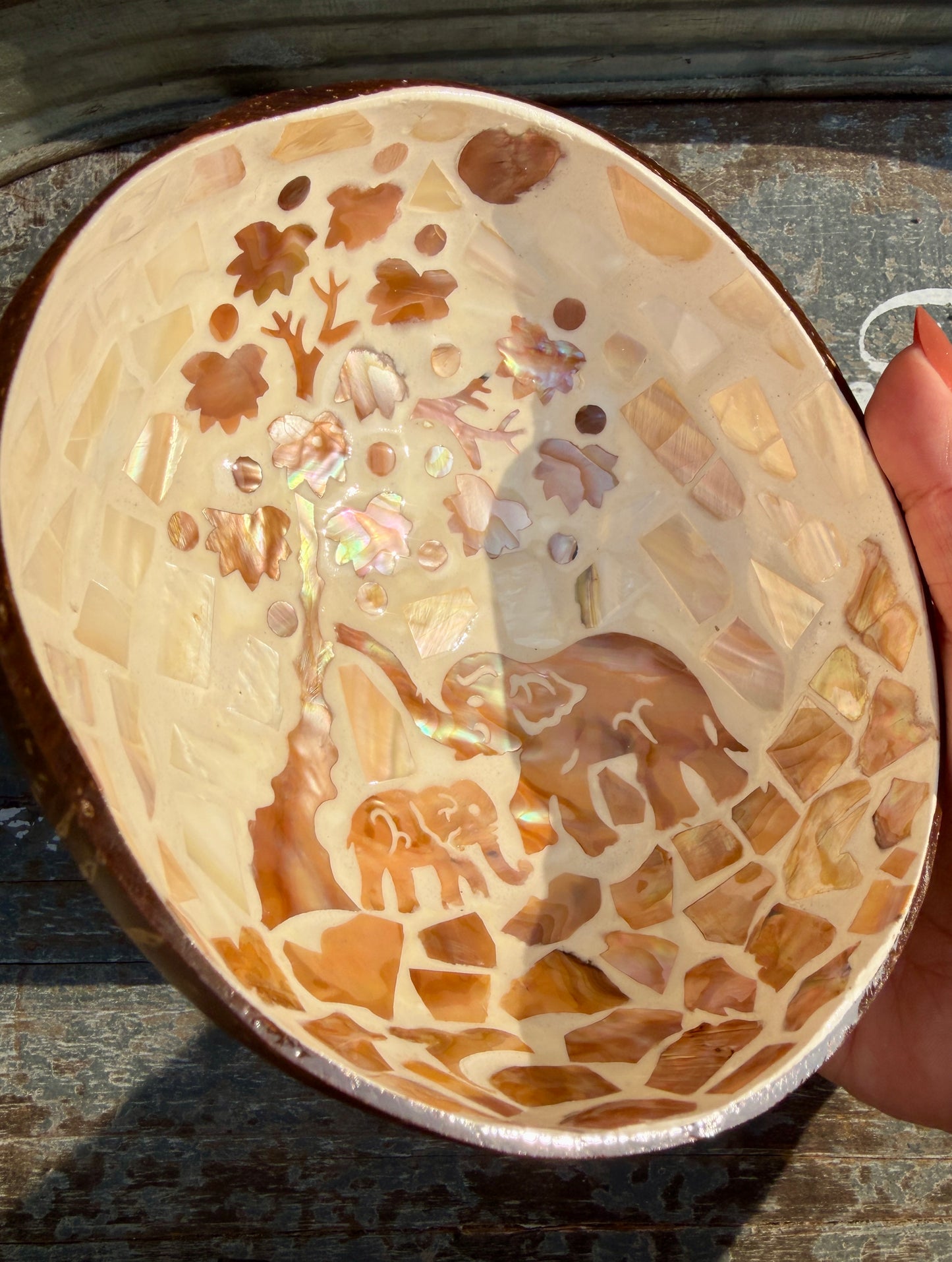 Gorgeous Elephant Mosaic Coconut Bowl with Shell Inlay | 6"