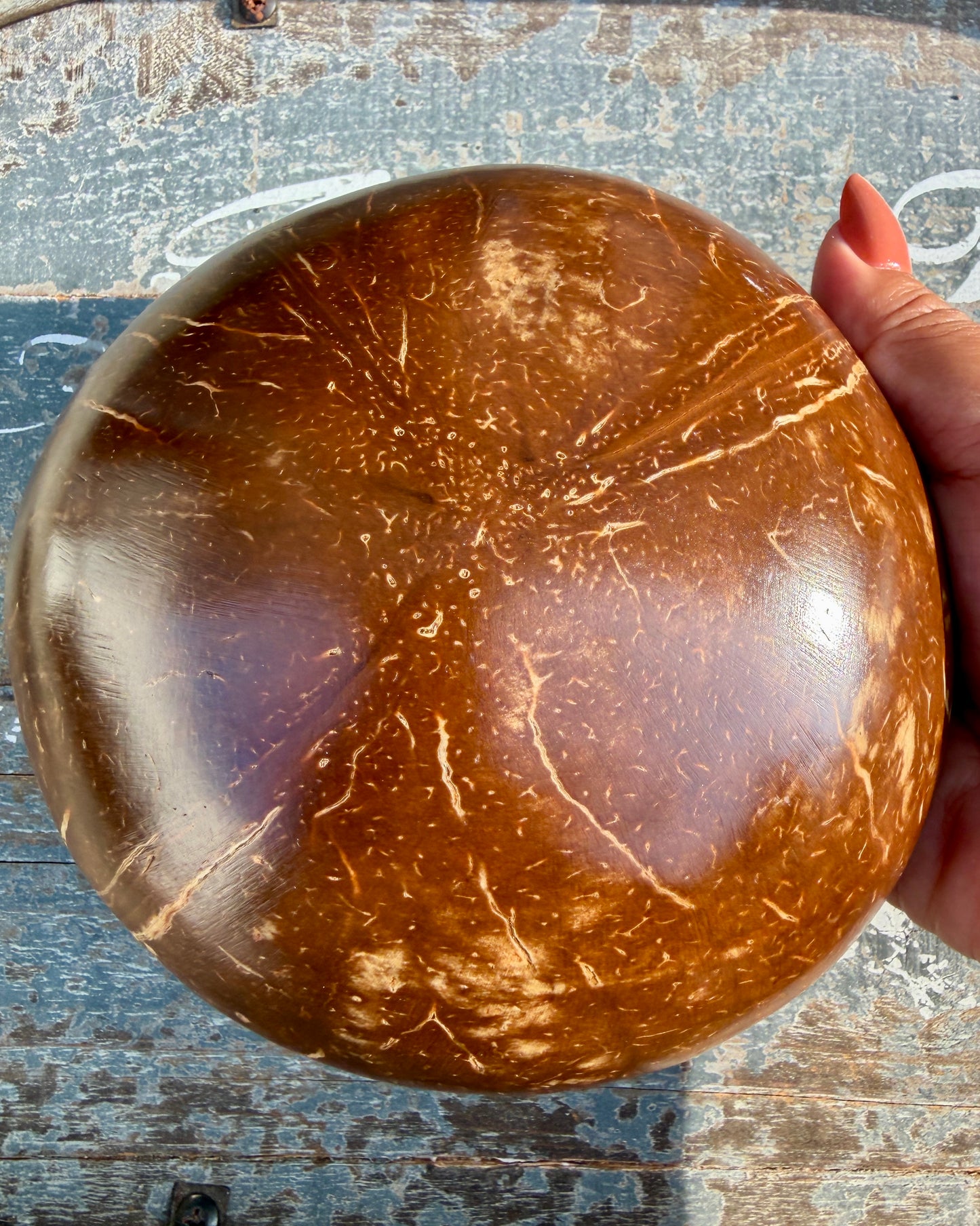 Gorgeous Elephant Mosaic Coconut Bowl with Shell Inlay | 6"