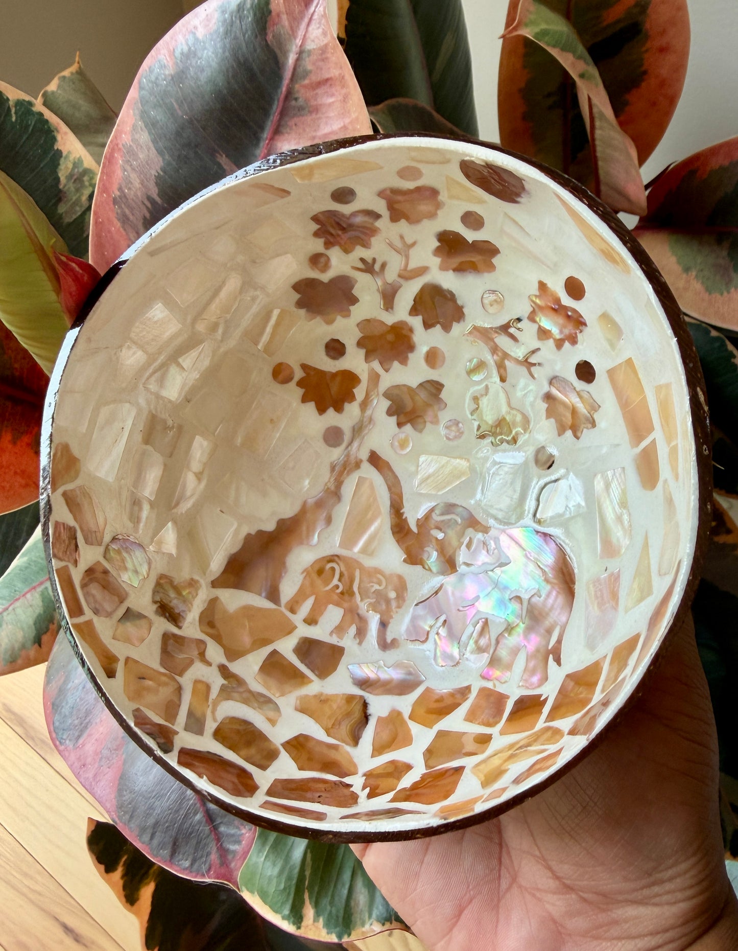 Gorgeous Elephant Mosaic Coconut Bowl with Shell Inlay | 6"