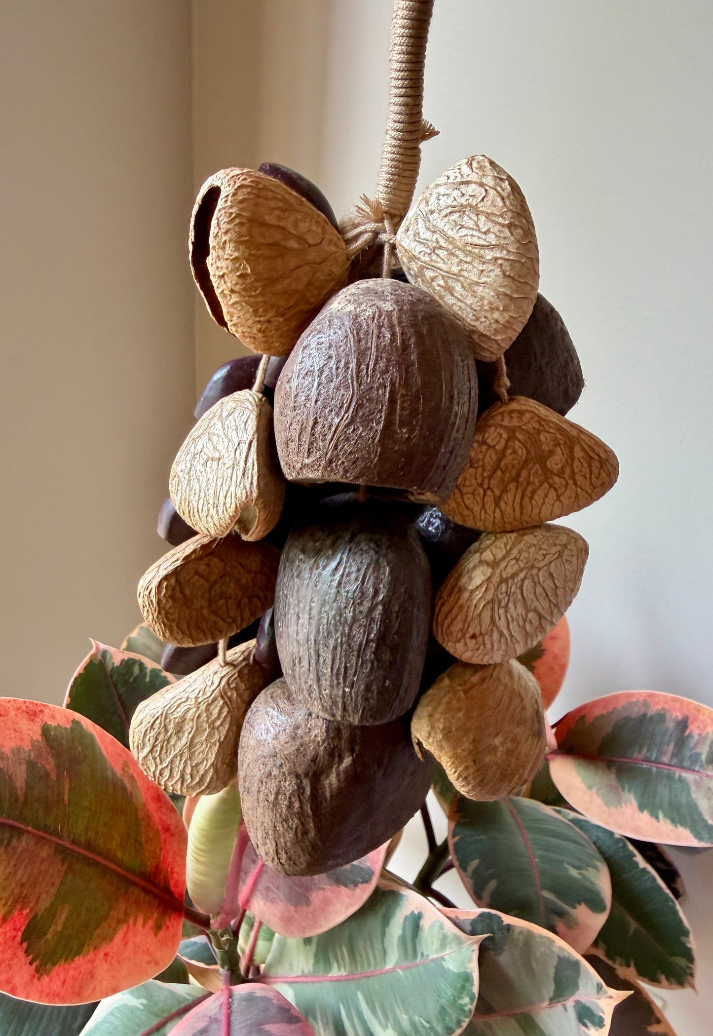Handcrafted Natural Seed Pod Sound Shaker (CHECK VIDEO FOR SOUND EXAMPLE)