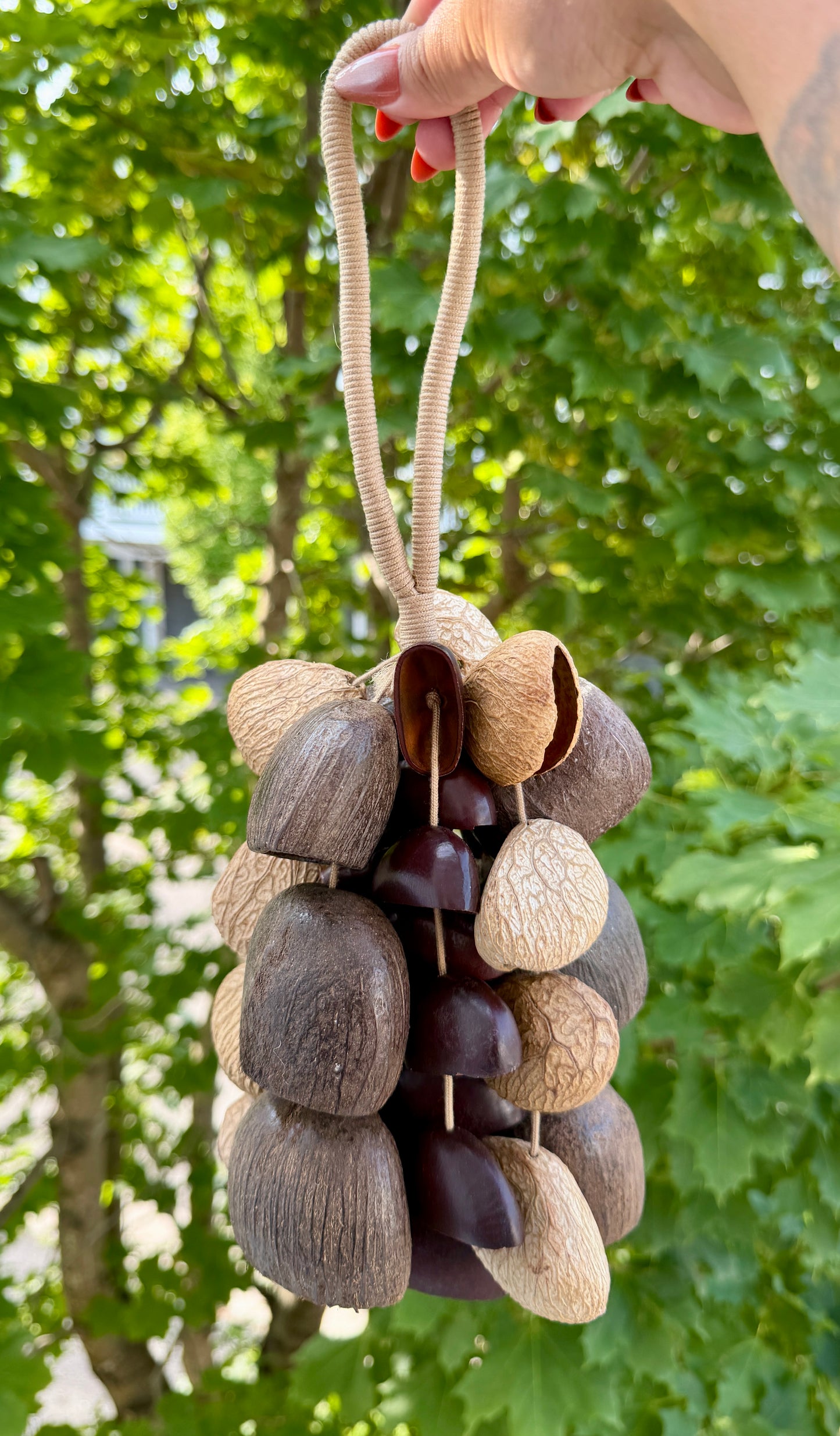 Handcrafted Natural Seed Pod Sound Shaker (CHECK VIDEO FOR SOUND EXAMPLE)