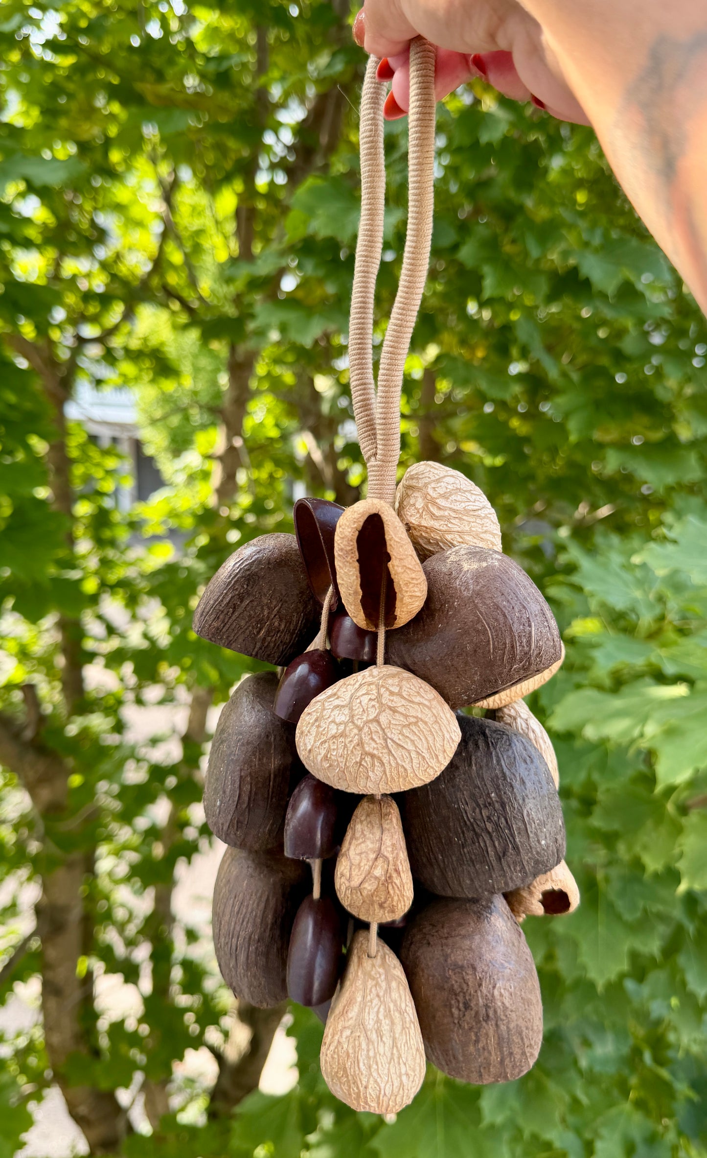 Handcrafted Natural Seed Pod Sound Shaker (CHECK VIDEO FOR SOUND EXAMPLE)