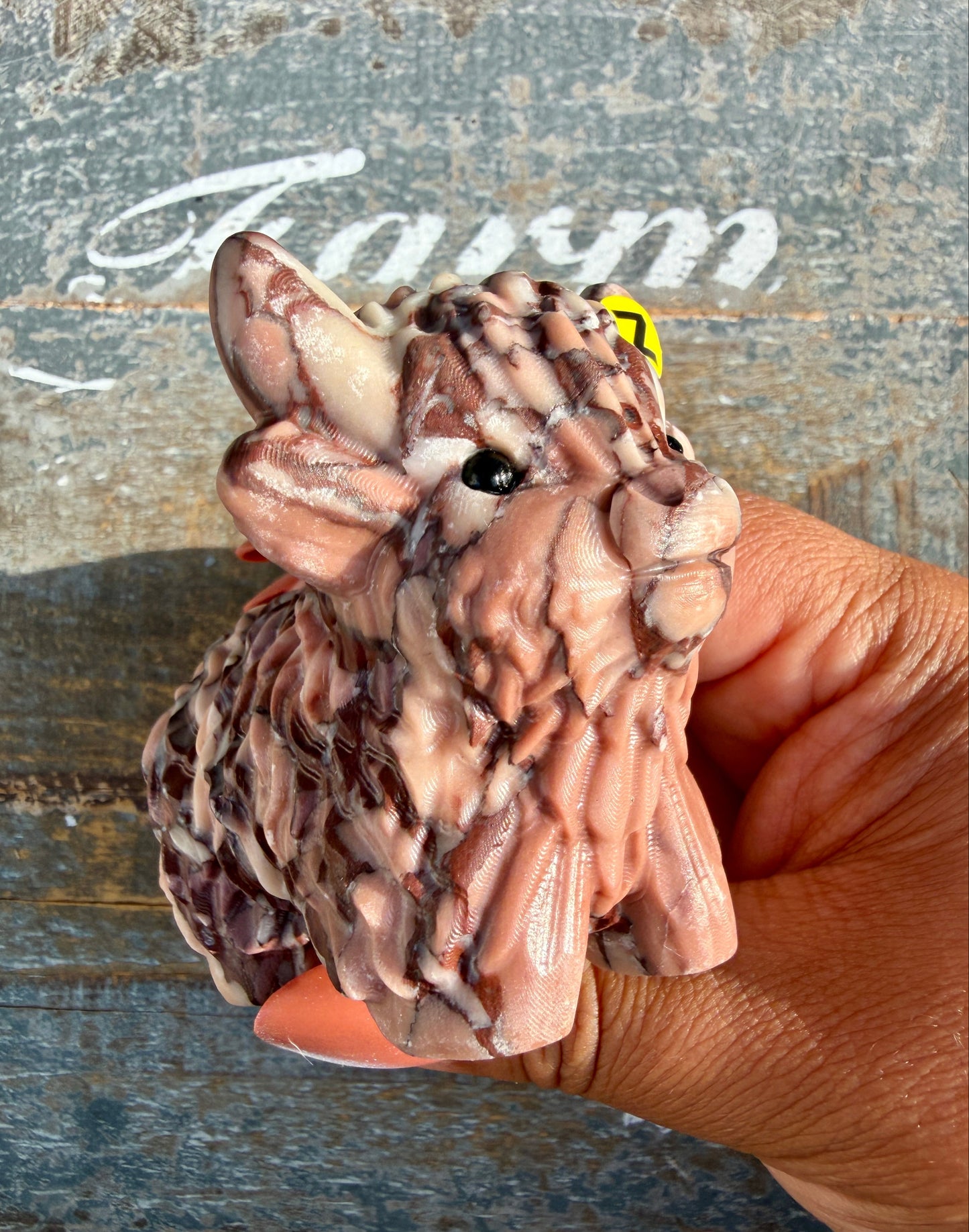 Adorable Desert Plain Jasper Highland Cow | Opt Z