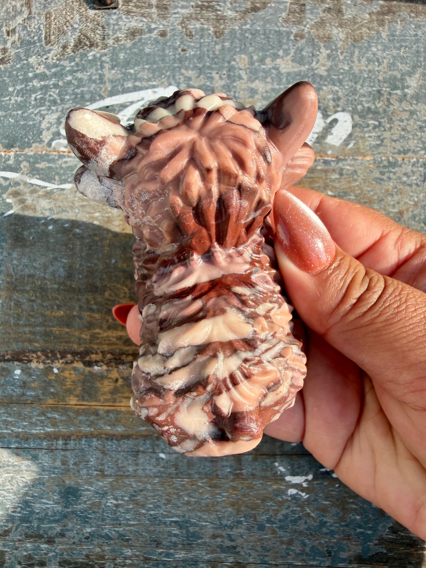 Adorable Desert Plain Jasper Highland Cow | Opt Z