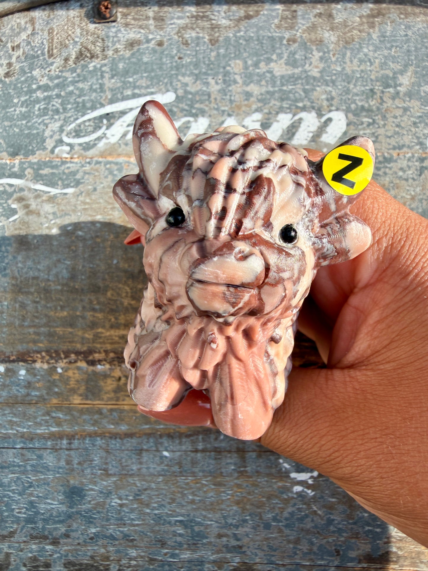 Adorable Desert Plain Jasper Highland Cow | Opt Z