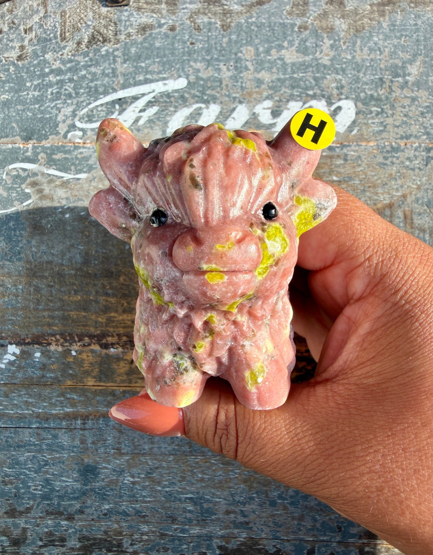 Adorable Peach Blossom Tourmaline Highland Cow | Opt H