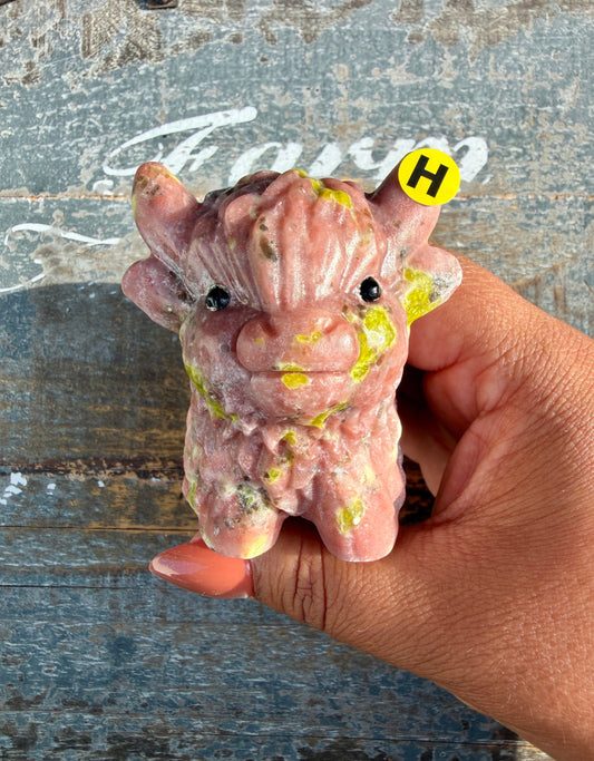 Adorable Peach Blossom Tourmaline Highland Cow | Opt H