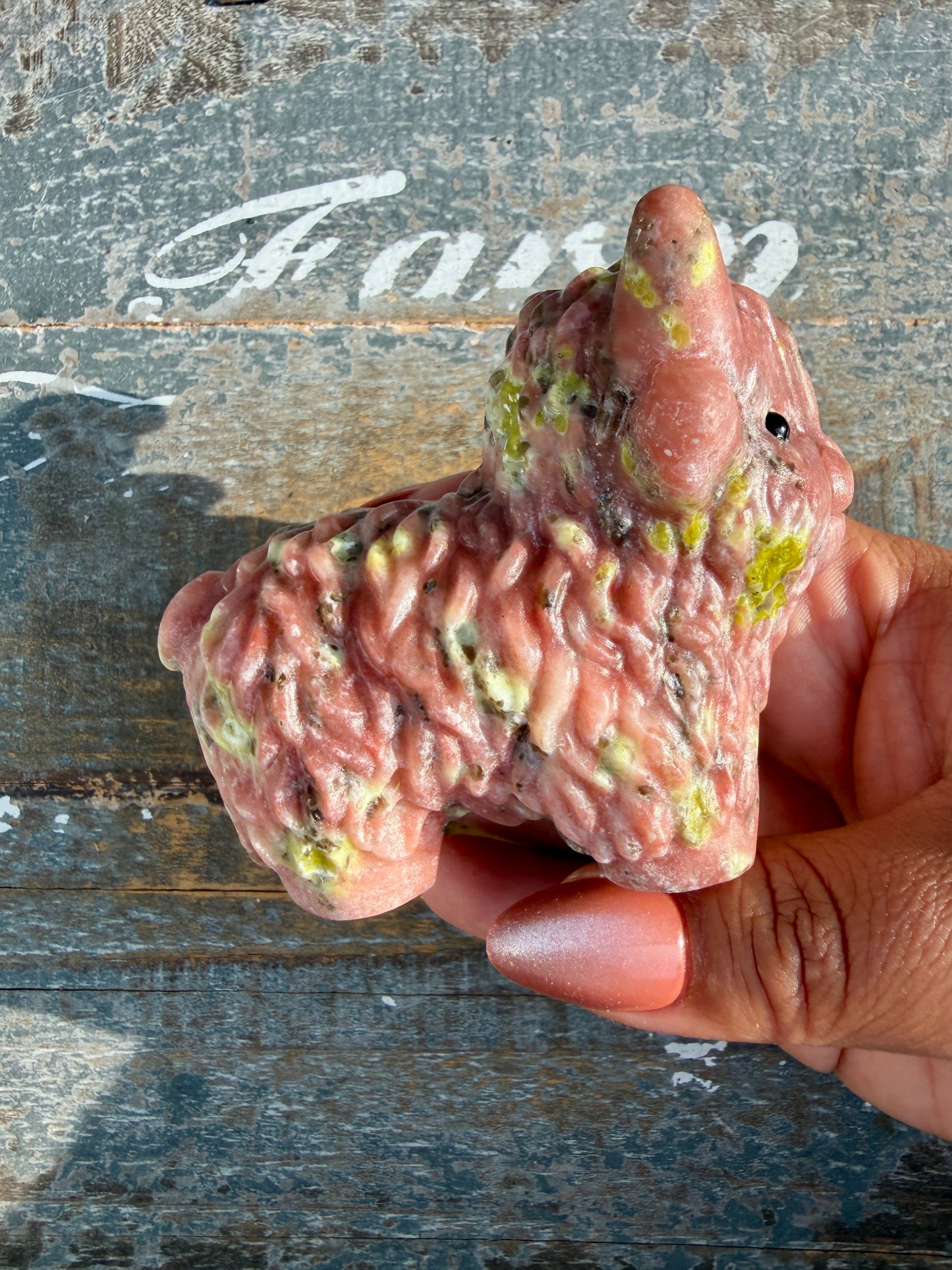 Adorable Peach Blossom Tourmaline Highland Cow | Opt H