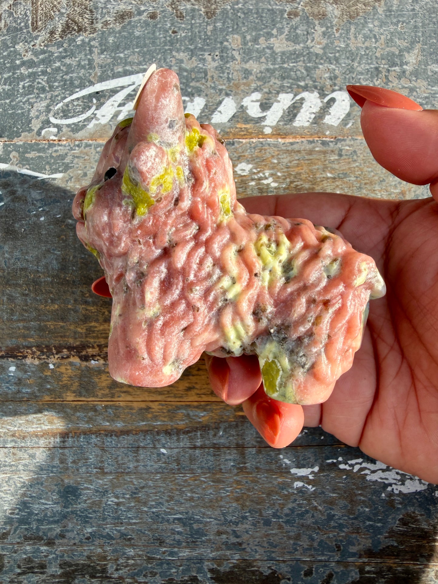 Adorable Peach Blossom Tourmaline Highland Cow | Opt H