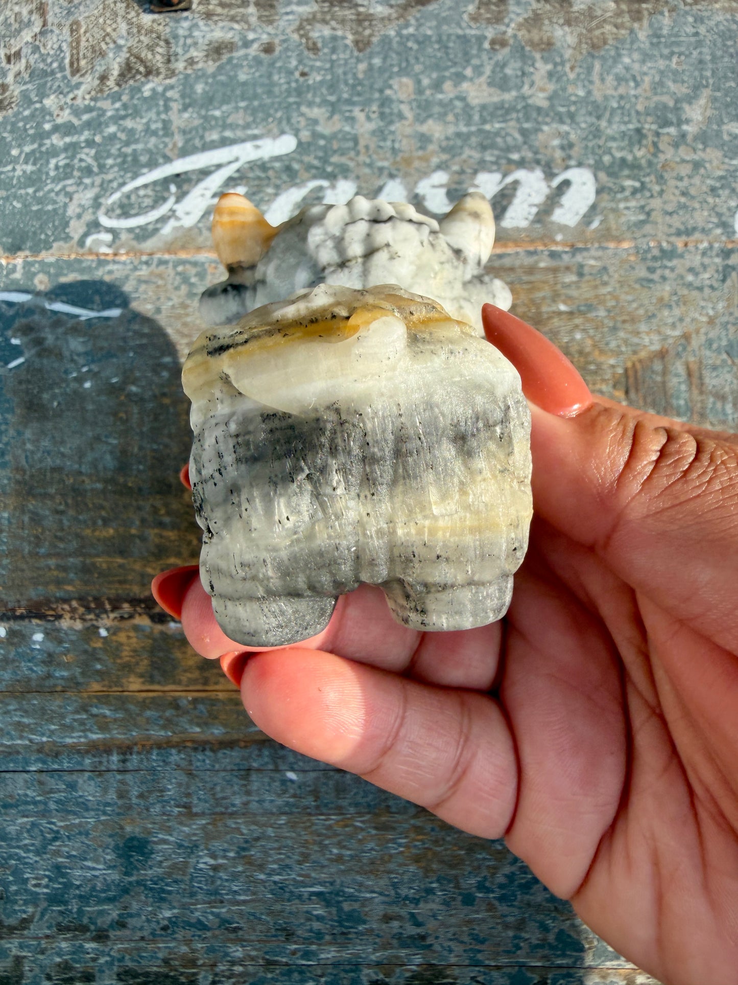 Adorable Bumblebee Calcite Highland Cow | Opt M