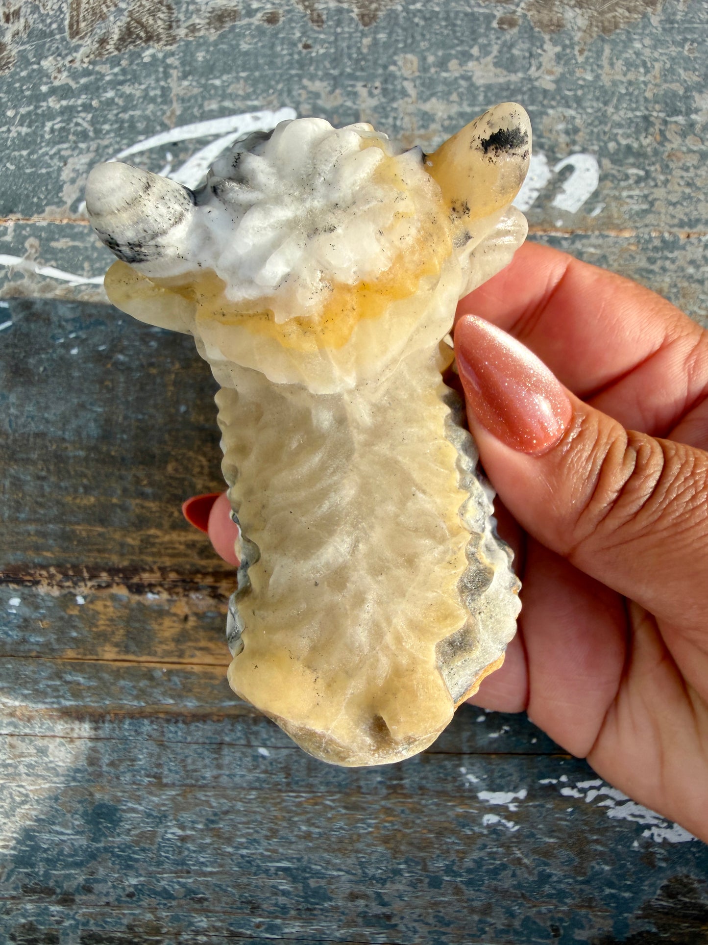 Adorable Bumblebee Calcite Highland Cow | Opt Q