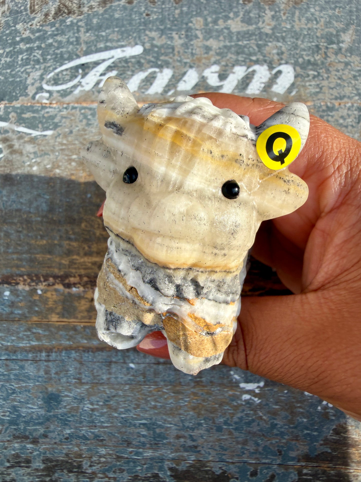 Adorable Bumblebee Calcite Highland Cow | Opt Q
