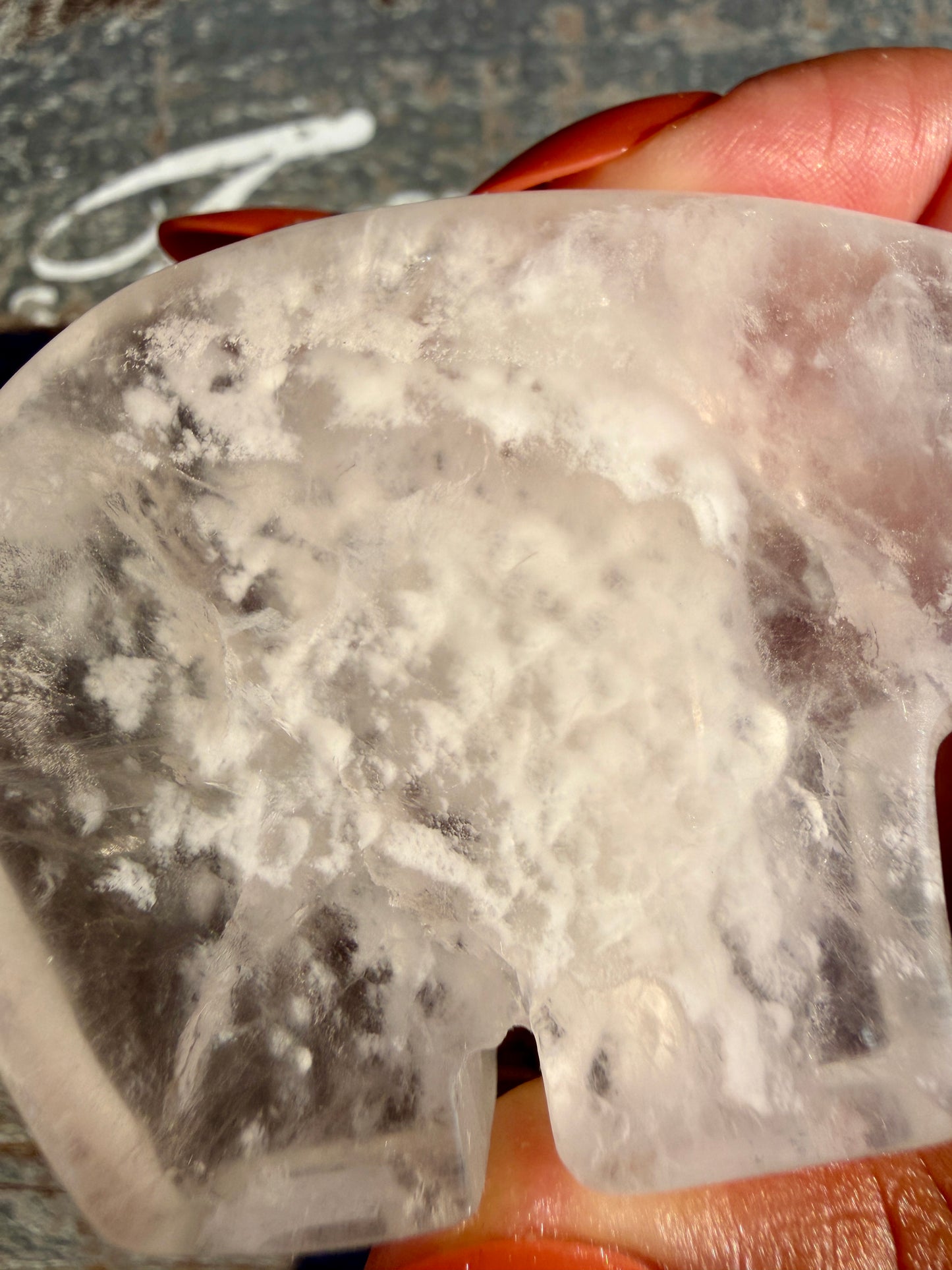Gorgeous Clear Fluorite Hand Carved Bear | Opt 6