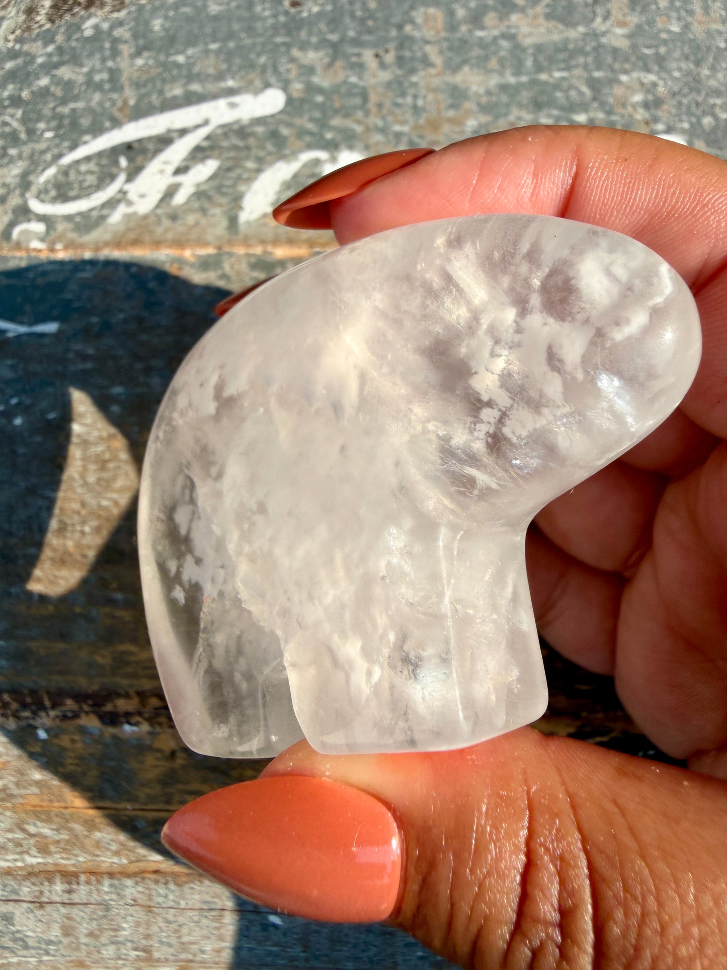 Gorgeous Clear Fluorite Hand Carved Bear | Opt 6