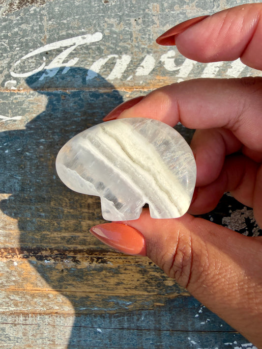Gorgeous Clear Fluorite Hand Carved Bear | Opt 2