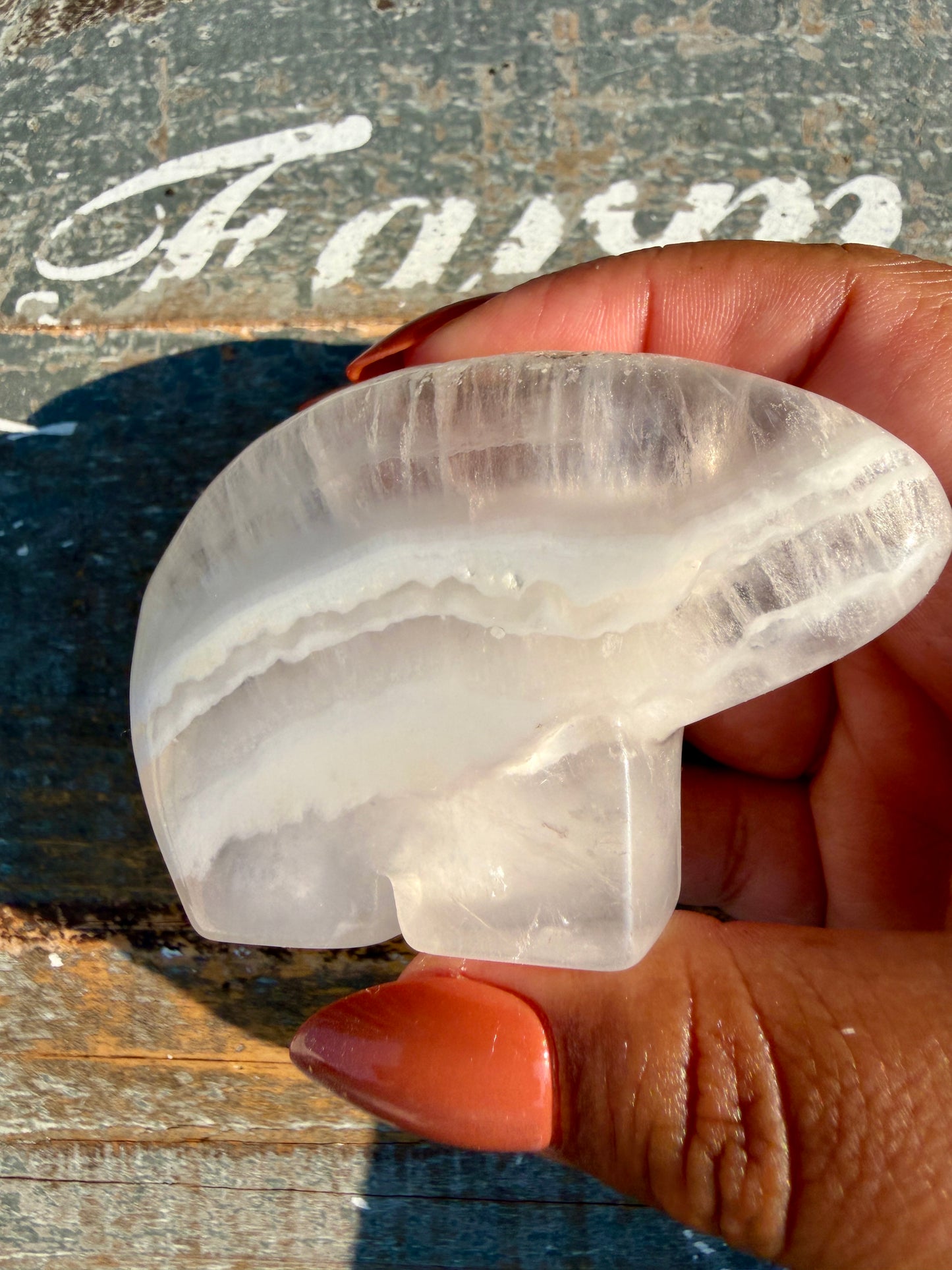 Gorgeous Clear Fluorite Hand Carved Bear | Opt 8