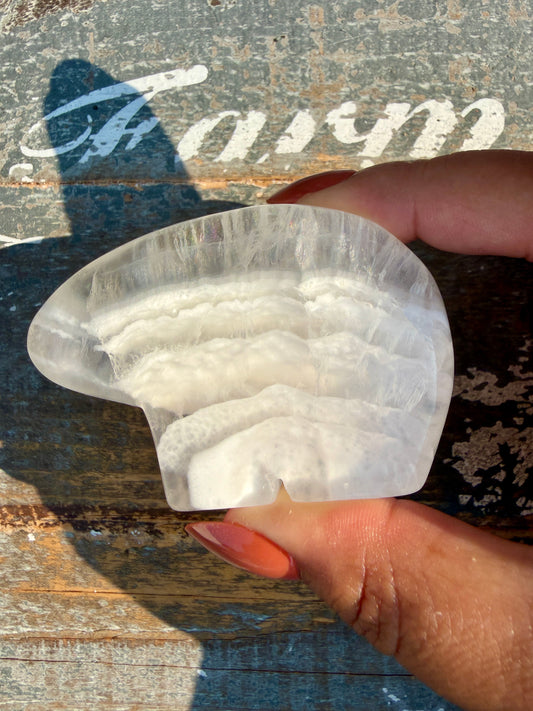Gorgeous Clear Fluorite Hand Carved Bear | Opt 8