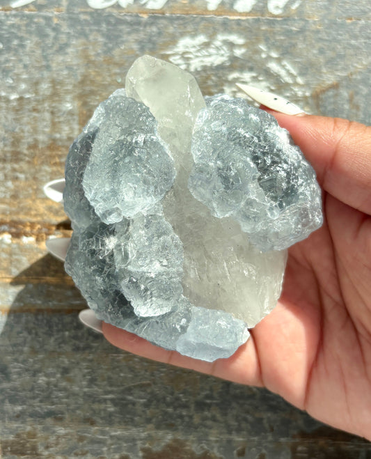 Gorgeous *RARE* Blue Fluorite and Quartz from Peru