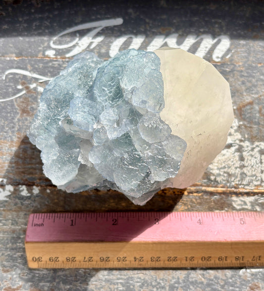 Gorgeous *RARE* Blue Fluorite and Quartz from Peru