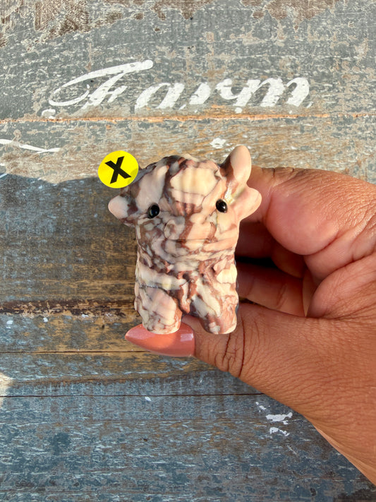 Adorable Desert Plain Jasper Highland Cow | Opt X