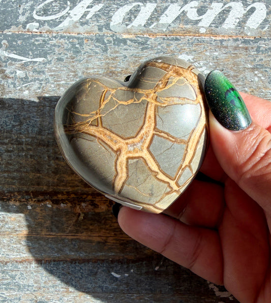 Gorgeous Septarian Heart from Utah | Opt D