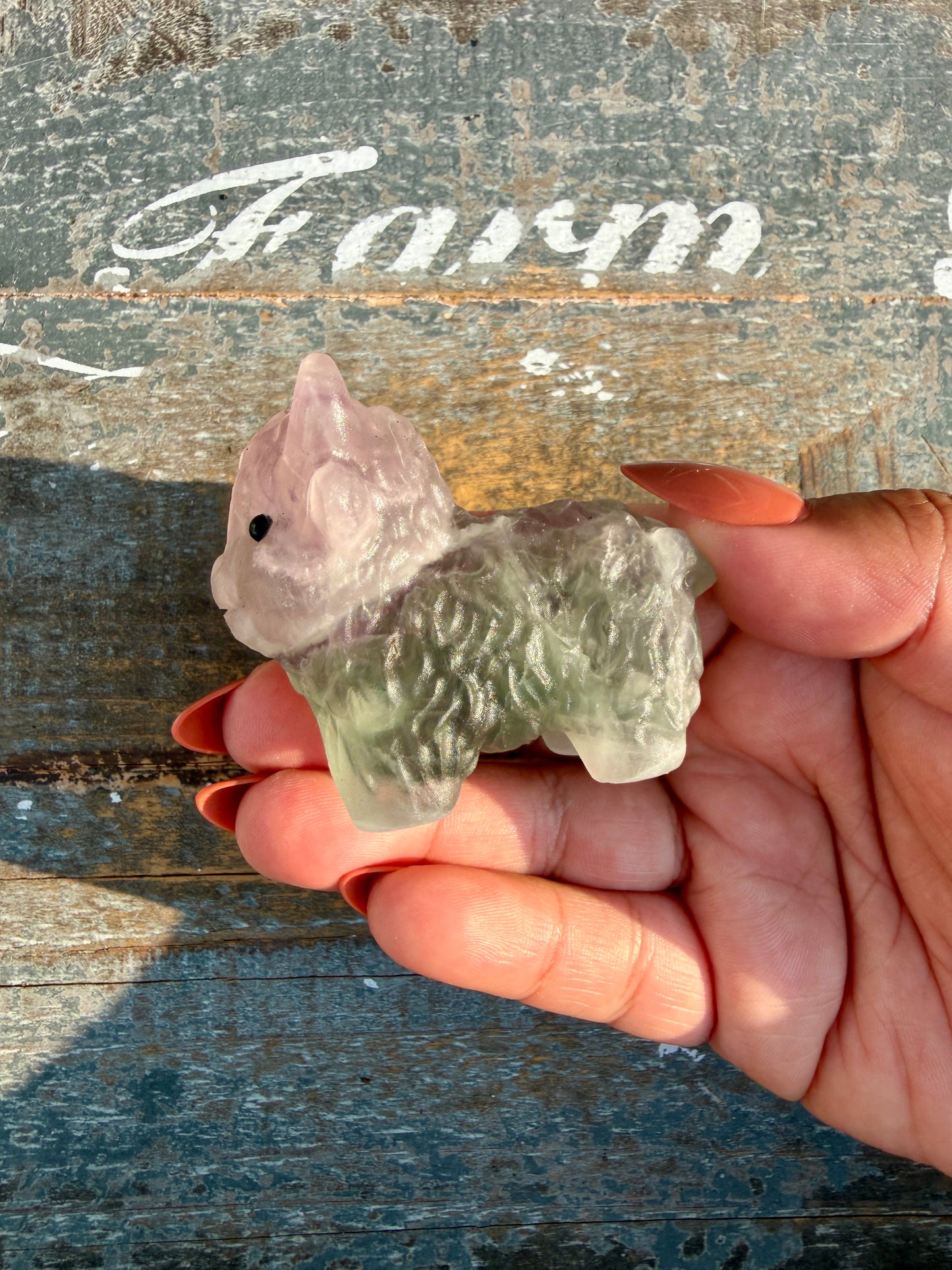 Adorable Lavender Fluorite Highland Cow | Opt S