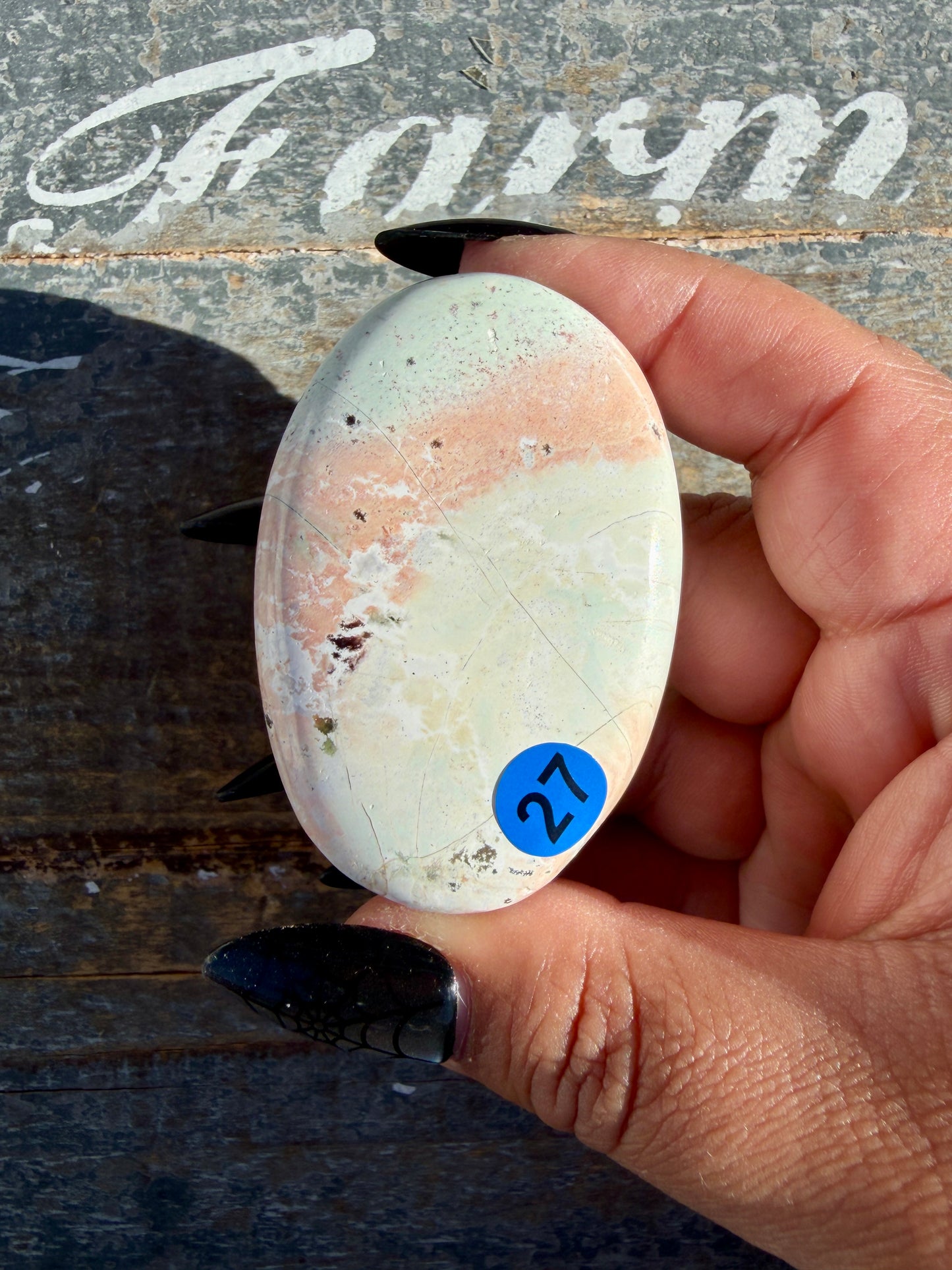 Pastel Unicorn Jasper Palm Stone | India | Opt 27