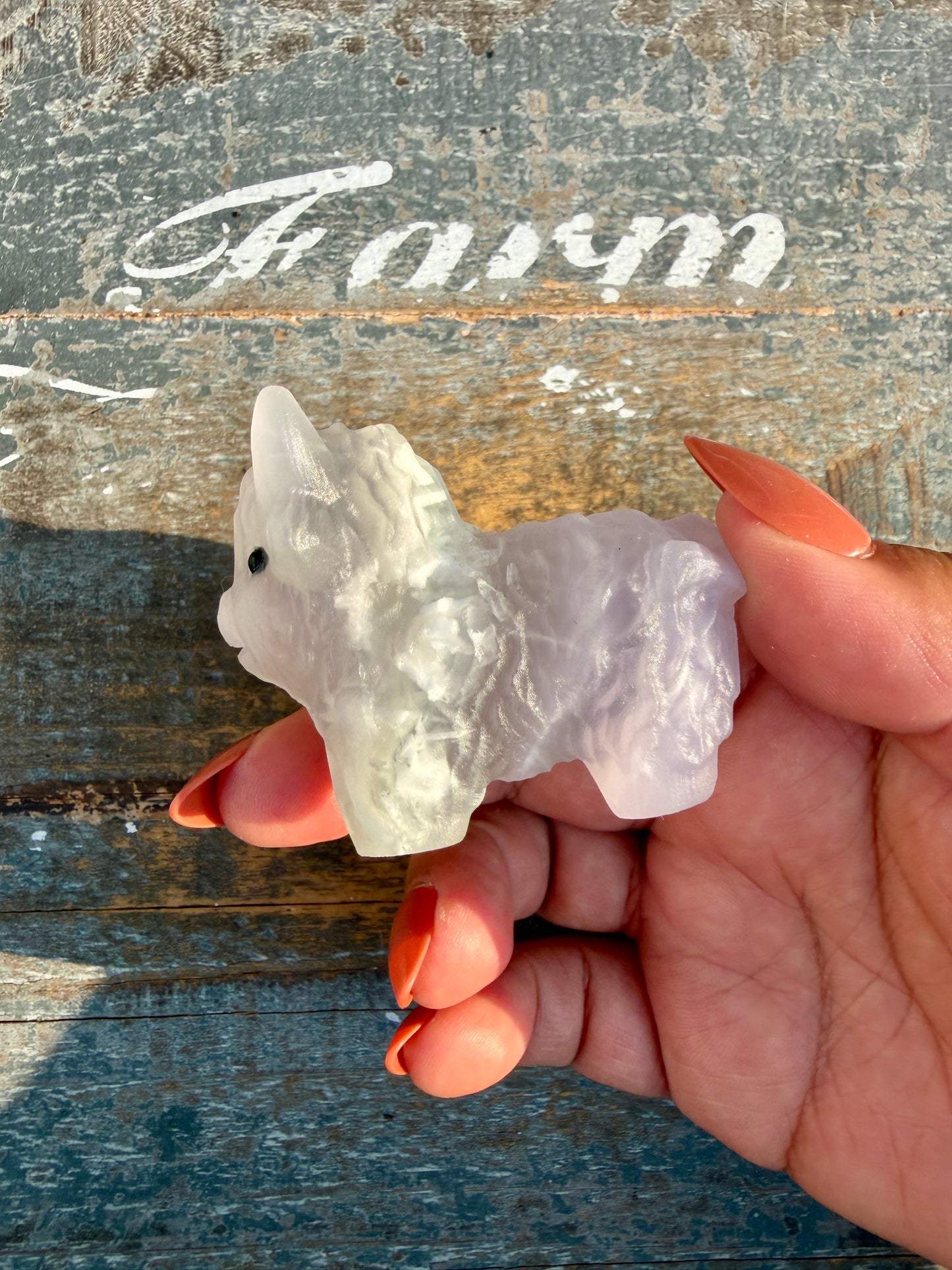 Adorable Lavender Fluorite Highland Cow | Opt N