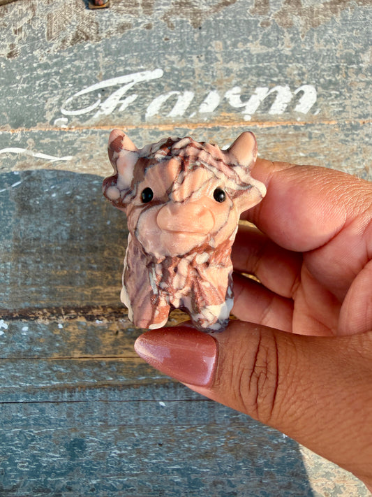 Adorable Desert Plain Jasper Highland Cow | Opt Z