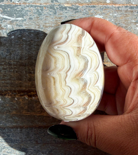 Gorgeous Bumblebee Calcite Egg from Mexico | Opt B