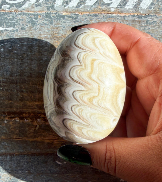 Gorgeous Bumblebee Calcite Egg from Mexico | Opt B