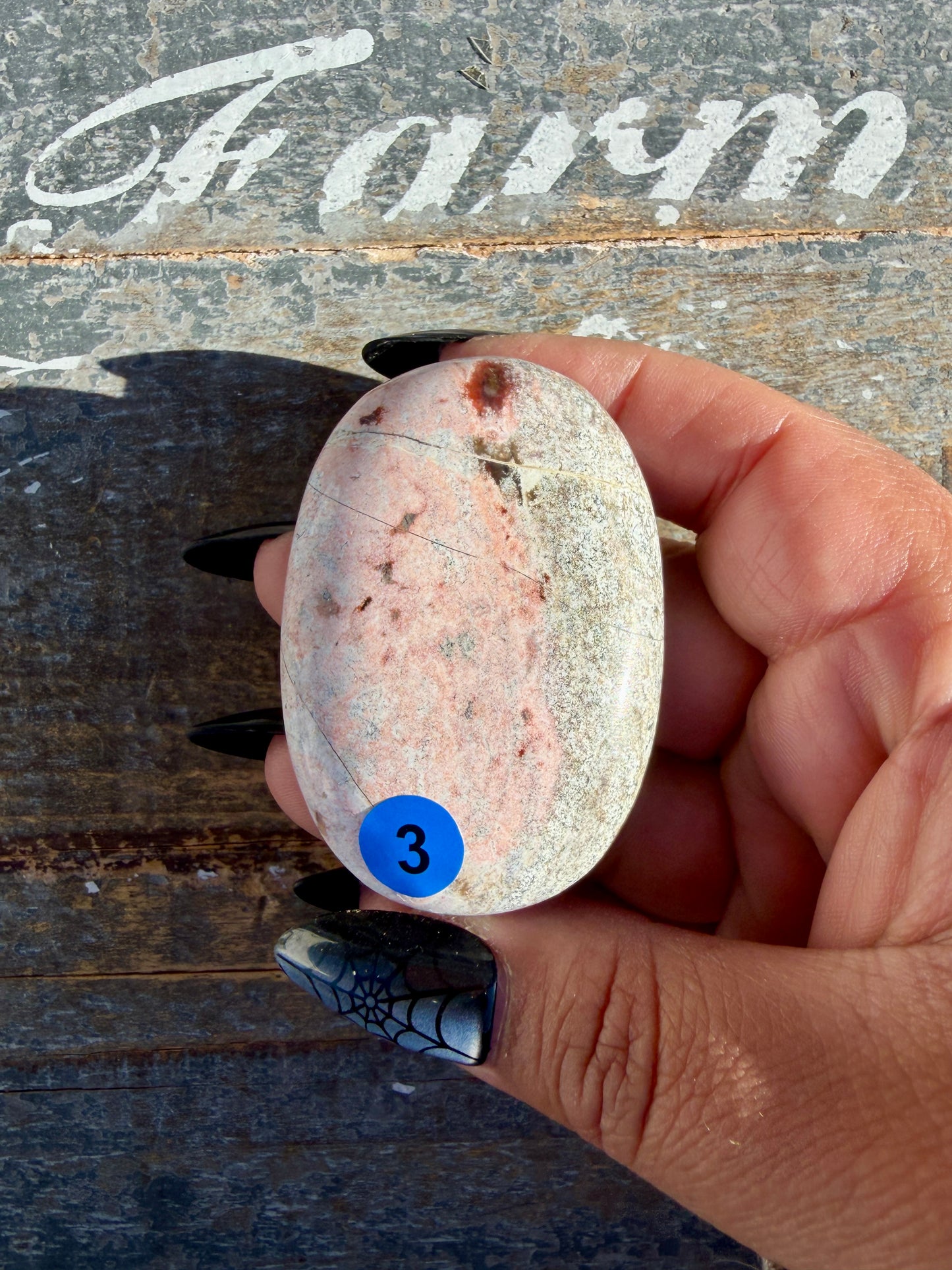Pastel Unicorn Jasper Palm Stone | India | Opt 3