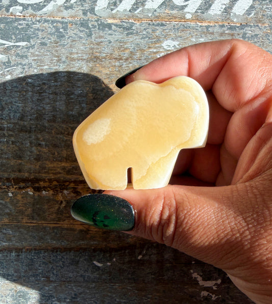 Gorgeous Bumblebee Calcite Buffalo from Mexico | Opt Q