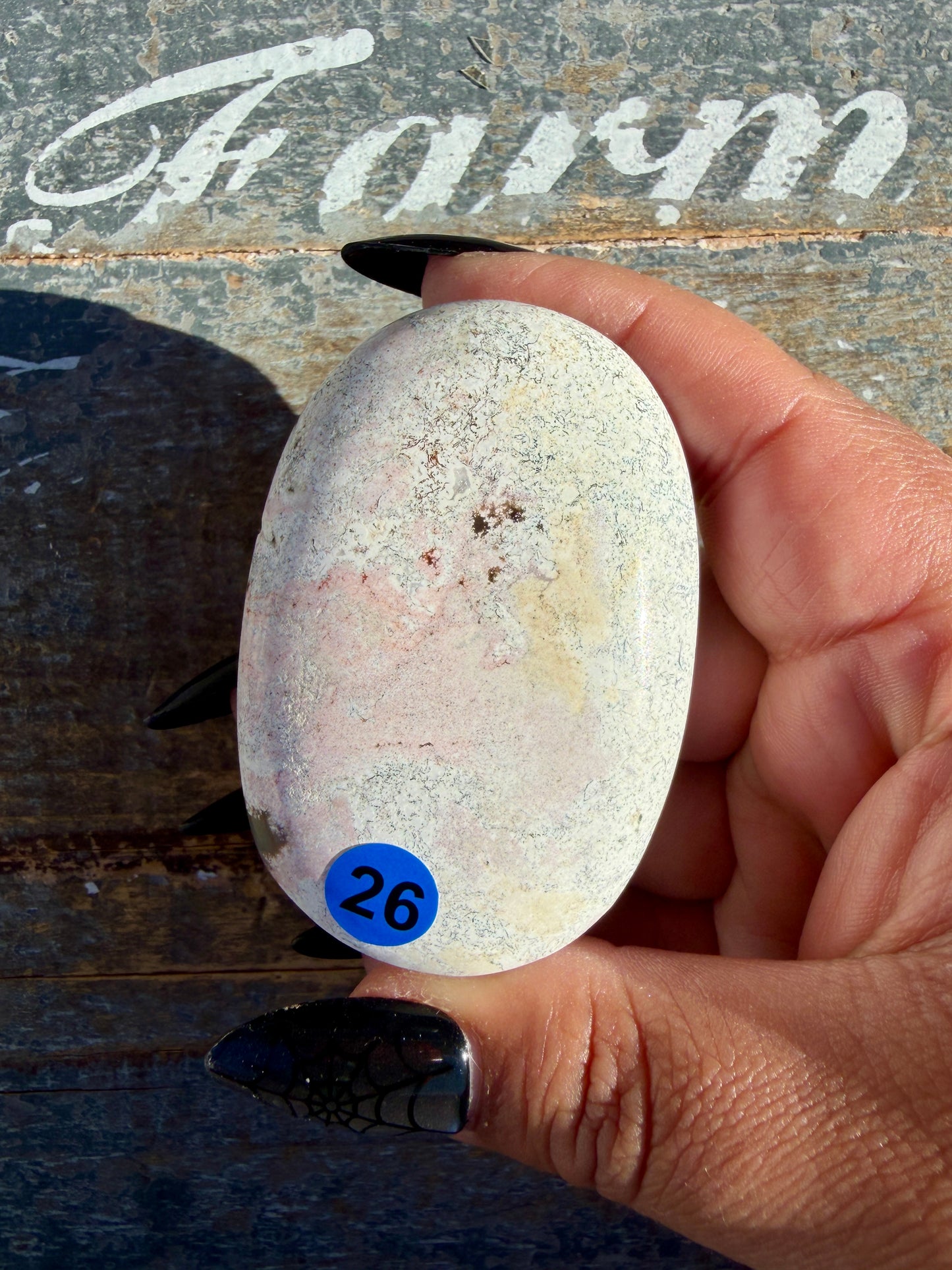 Pastel Unicorn Jasper Palm Stone | India | Opt 26