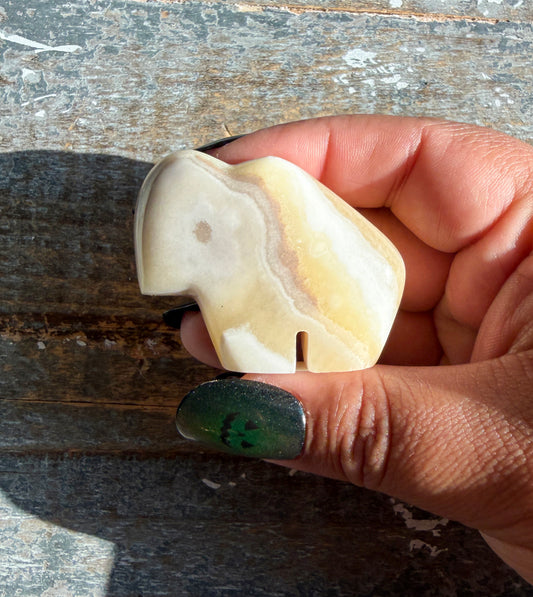 Gorgeous Bumblebee Calcite Buffalo from Mexico | Opt Q