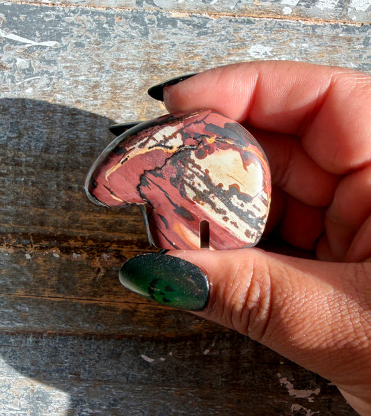 Gorgeous Noreena Jasper Bear from Western Australia | Opt S
