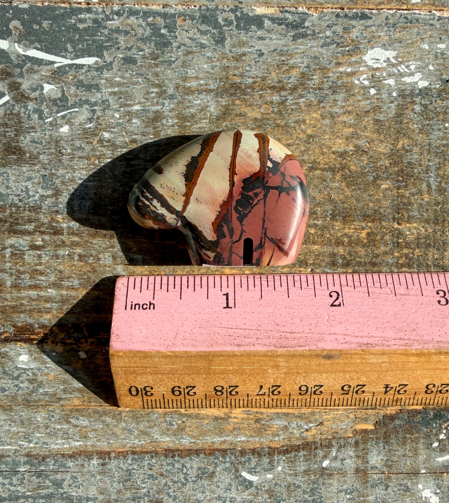 Gorgeous Noreena Jasper Bear from Western Australia | Opt W