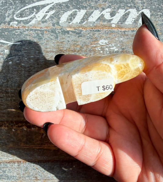 Gorgeous Honeycomb Calcite Bear from Utah | Opt T
