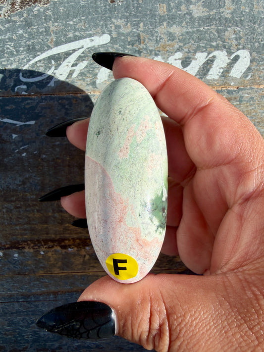 Gorgeous Pastel Unicorn Jasper Lingam | Opt F